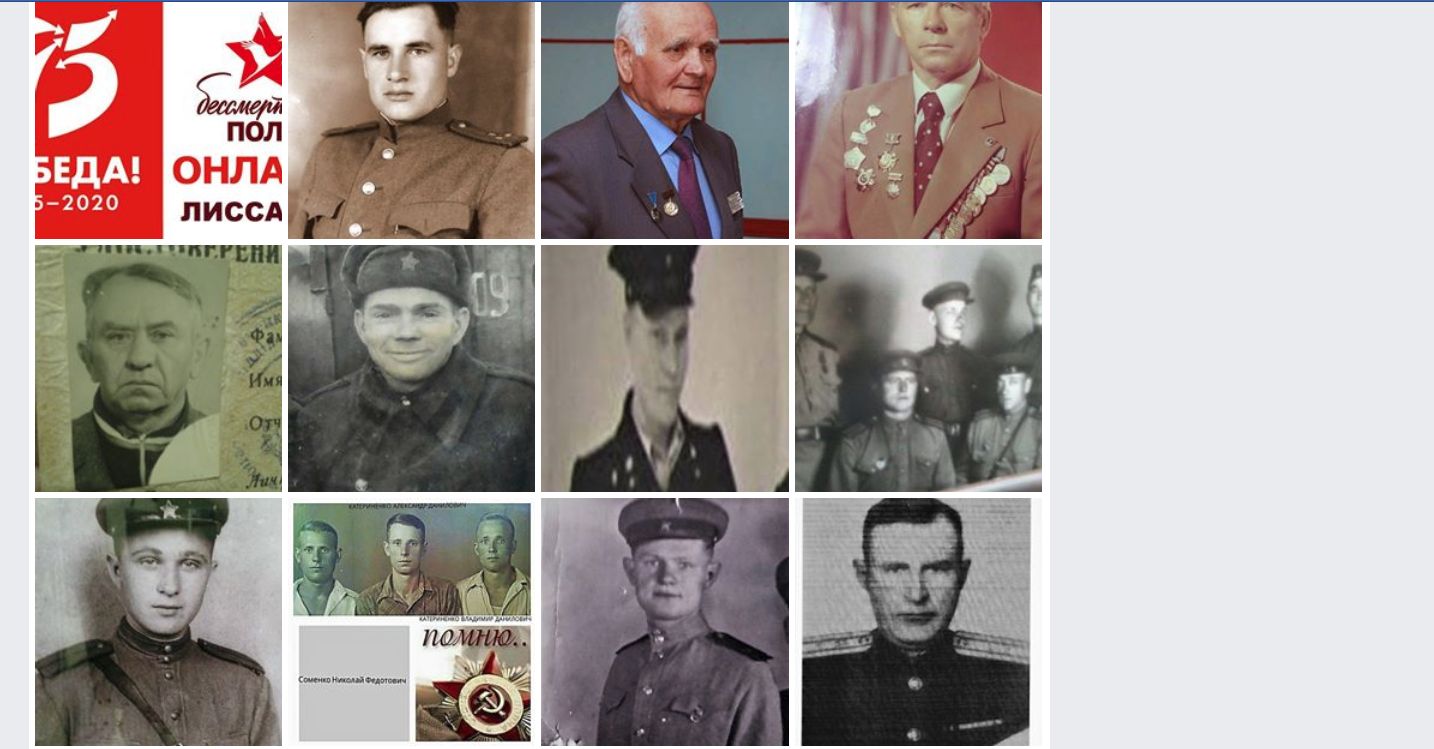 20200430Regimento online